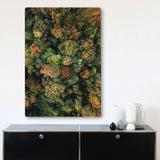 Rahmenloses Akustikbild Wald | Magnitudo "Breathe"