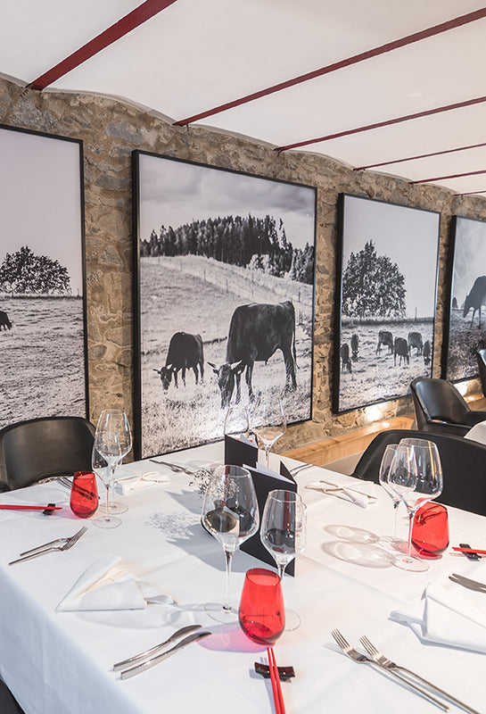 image of dining table and wall dacorated with sound proof frames hanging to wall