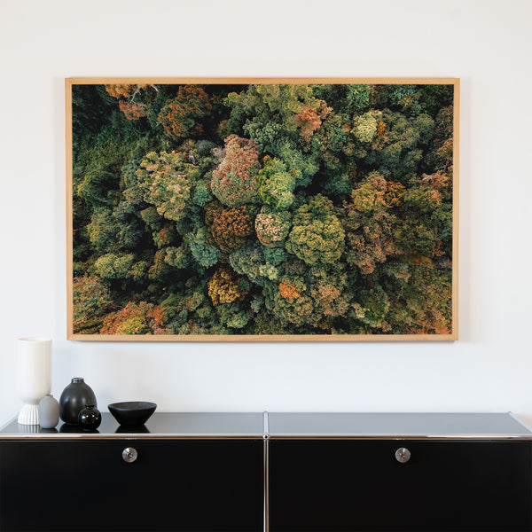 Akustikbild Natur