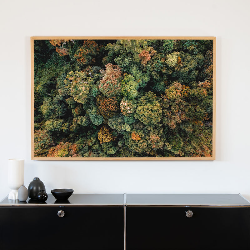 Akustikbild Natur