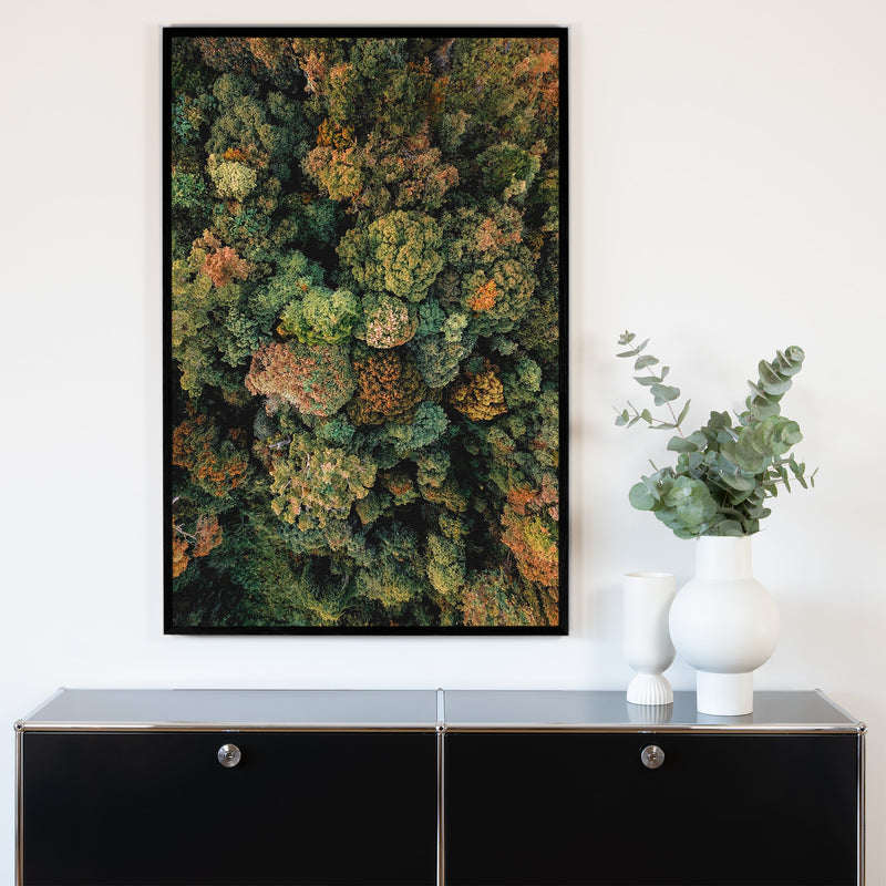 Akustikbild Natur