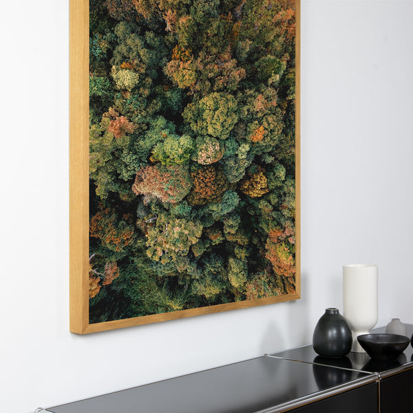 Akustikbild Natur