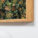 Akustikbild Natur